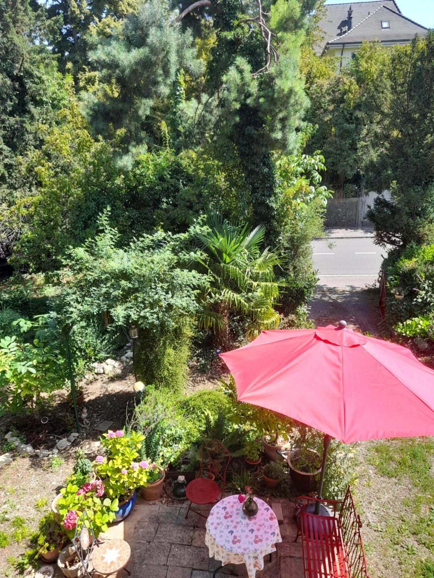 B&B Am Park Rheinfelden Exteriör bild