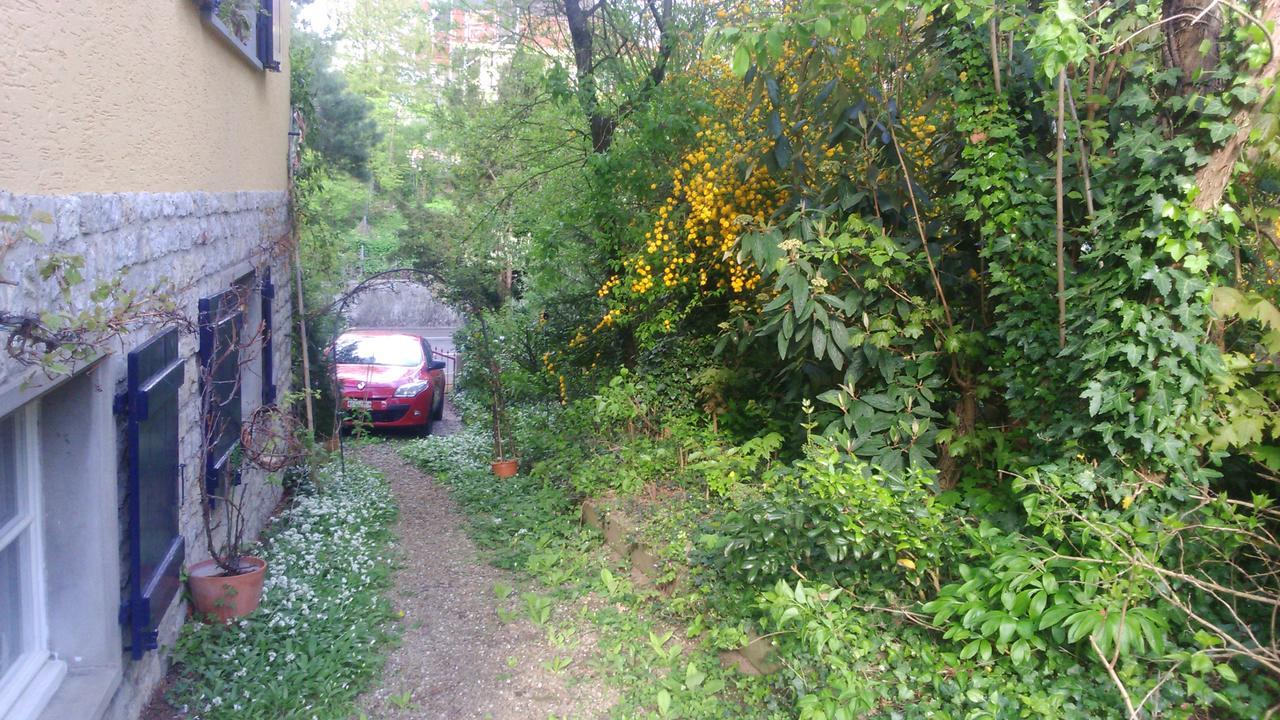 B&B Am Park Rheinfelden Exteriör bild