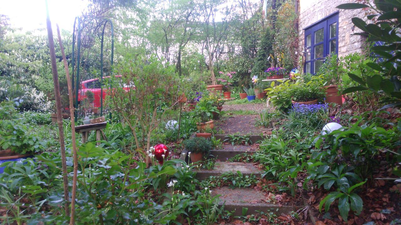 B&B Am Park Rheinfelden Exteriör bild