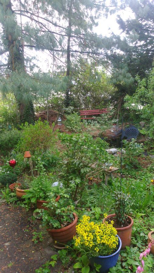 B&B Am Park Rheinfelden Exteriör bild